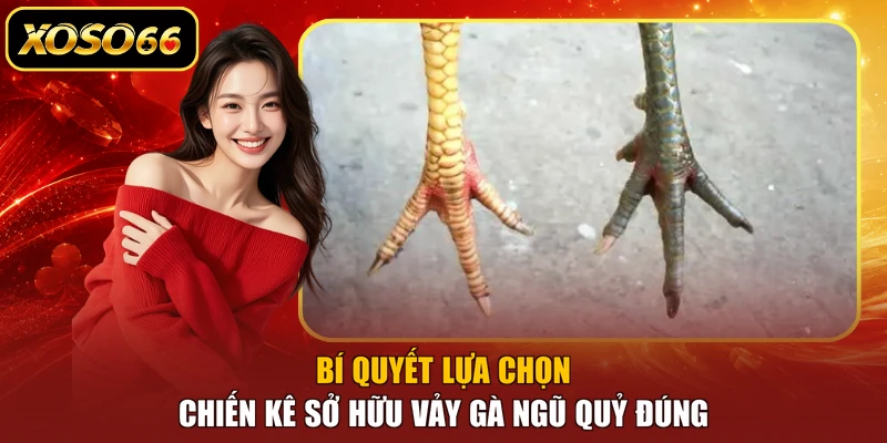 Bí quyết lựa chọn chiến kê sở hữu vảy gà ngũ quỷ đúng
