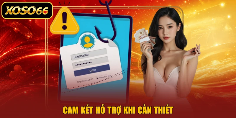 Cam kết hỗ trợ khi cần thiết