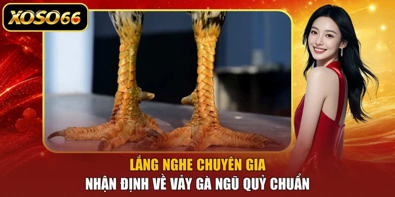 Lắng nghe chuyên gia nhận định về vảy gà ngũ quỷ chuẩn