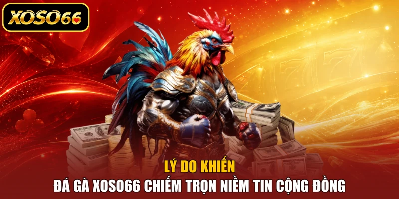 Lý do khiến đá gà XOSO66 chiếm trọn niềm tin cộng đồng