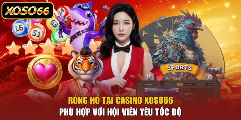 Rồng Hổ tại Casino XOSO66 phù hợp với hội viên yêu tốc độ